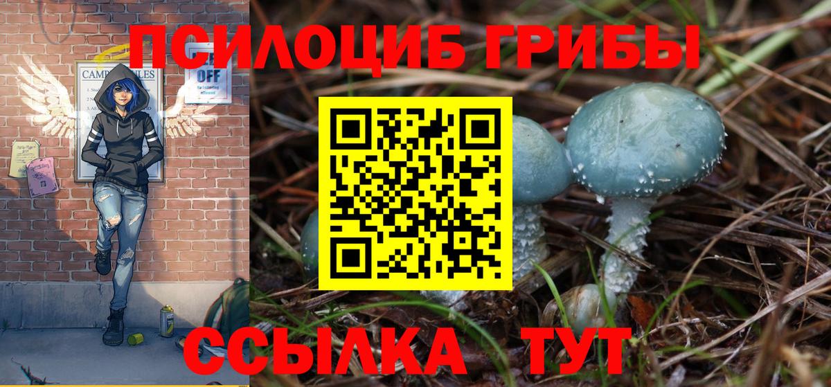 Узловая  Псилоцибиновые грибы прущие грибы  Псилоцибиновые грибы Psilocybe  Вход с VPN 