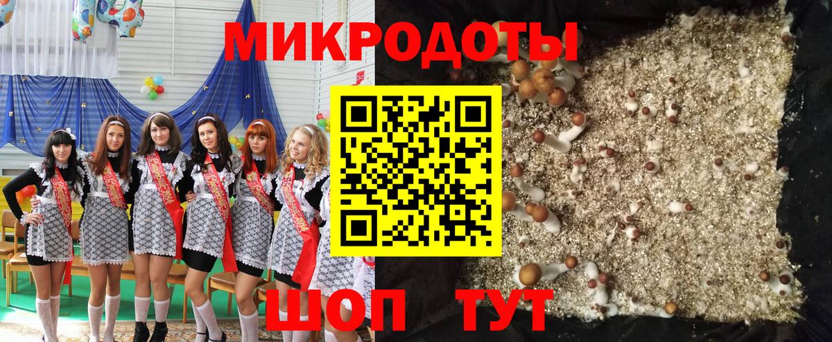 Галлюциногенные грибы Psilocybine cubensis Узловая